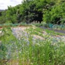 경기도 양평군 곡수초등학교 이미지