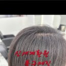 해르헤어
