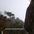 필립공인중개사사무소 이미지