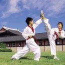국제고려태권도 이미지