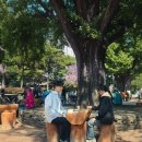 대전관광여행사주 이미지