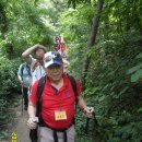 우면산5-6 이미지