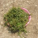 금서면사무소 이미지