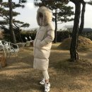 폭스디테일링 이미지