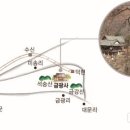 금광사 이미지