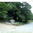 도진(박달2리) 이미지