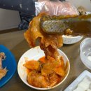 짱맛집 | [갈마동 맛집] 갈마동 혼밥, 갈마동 포장 맛집 | 도리짱 | 포장후기