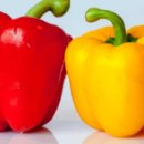 아침풍경 | 국내 여행지에서의 조용한 아침 풍경