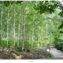 죽파리 경로당 이미지