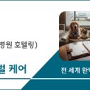 엠아이엔티글로벌