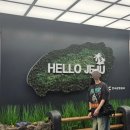제주무릉도원집 | [제주여행]제주도 동쪽 여행기ㅣ그랜드 조선 제주, 모모주 동물원, 스노쿨링