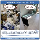 제주 쓰레기집 청소, 새벽 5시간 만에 끝낸 후기