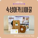대신농장 | 화실옆벌꿀농장 숙성 아카시아꿀🍯 설탕 대신 건강한 단맛 찾기