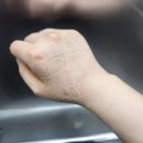 변교선 복싱클럽 | [운동] 여자 복싱 후기(한 달 차)