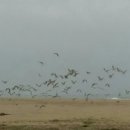 정동진역 이미지