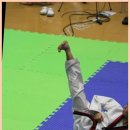 경희대 최강태권도장 이미지