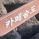 법호촌 교차로 3 | 서귀포 겨울 여행 코스 추천(1100고지,친봉산장 카페,산방산 탄산온천, 정방폭포, 숨도, 금능해수욕장...