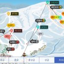 뉴용평관광