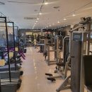 지지아나 이미지