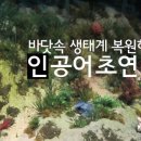 인공어초 이미지