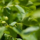 묘수농장 이미지