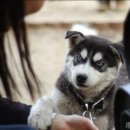 목마르지 이미지