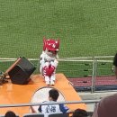 [KBO] 올 시즌 막바지 들어서 많이 억울할 팀 이미지