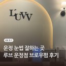 루브포토 | 눈썹정리 잘하는곳 운정 루브(LUV)에서 브로우리프트펌 솔직후기 (예지원장님 최고)