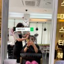 미스미스터헤어 - 군산시 수송동 | 미스미스터헤어