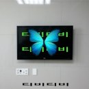 더뷰에디스 이미지