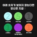 [일원3] 나도 부동산 전문가가 될 수 있다 (B) | 2025 제 1회 비혼 페어: BE주류 in 성수 - 연사, 부스, 예매 방법