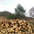 황토참숯방 이미지