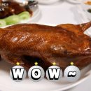 스타골프 이미지