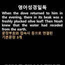 오늘의 '영어성경 쇼츠'(창 8-11강) 창세기 8장 11절(Genesis 8:11) 이미지