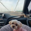 베르겐하이더웨이 이미지