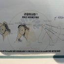 [울산 트레이너 바마] 바디트리 세미나 재수강 2주 차 후기