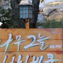 나무그늘아래