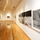 [2025년 상반기]서양화 이미지