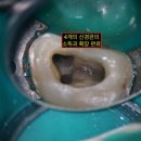 예성윤치과의원 이미지