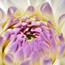 학익고등학교 이미지