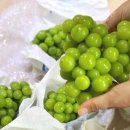 희설농장 이미지