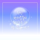 안양동물병원
