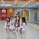 용인대 아름태권도 이미지