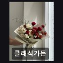 클래식가든 | [대전 꽃집] 클래식가든 감각적 꽃 조합과 합리적 가격