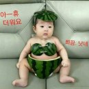 혜성태권도장 이미지