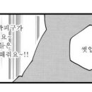 피구유통 이미지