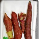 싱싱회마을 이미지