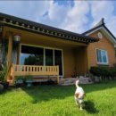 해뜨는펜션민박 이미지