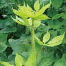 숲으로2 모텔 이미지