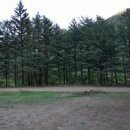 신왕초 부연분교장 이미지